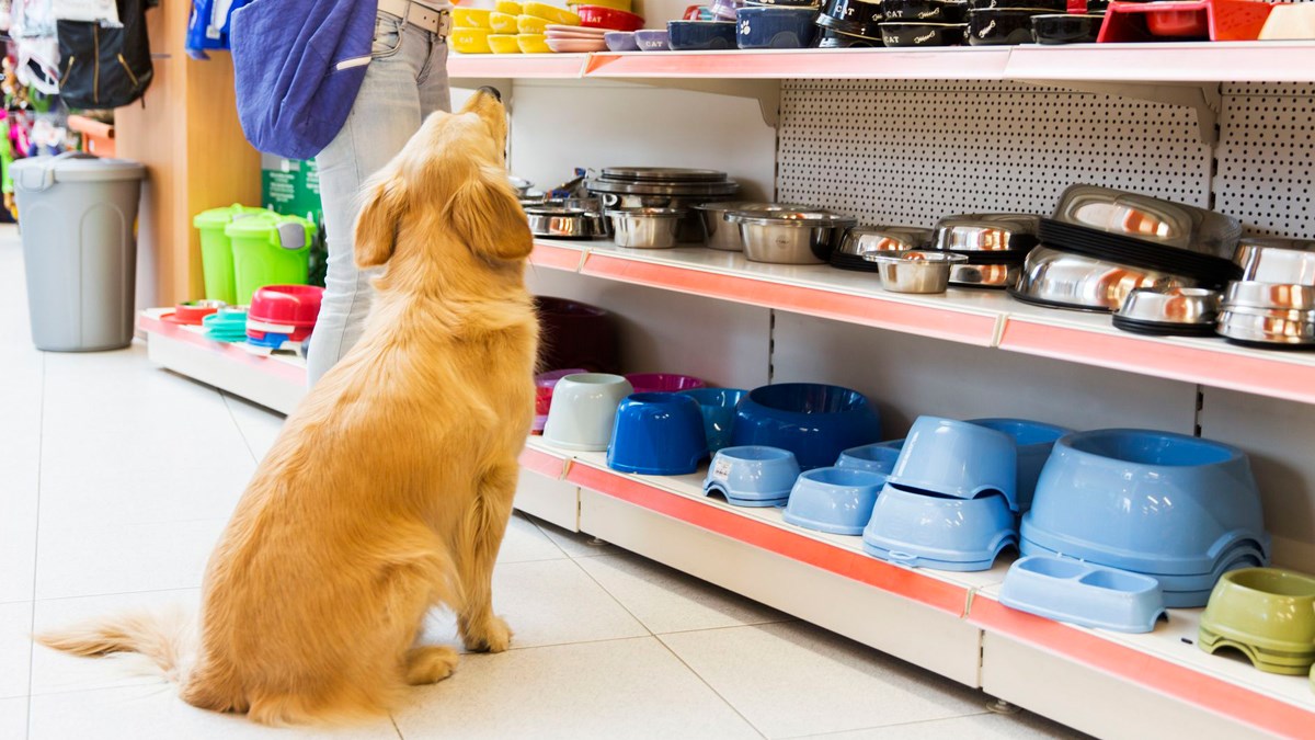 Odveo je napuštenog psa u pet shop i kupio mu sve što je dotaknuo njuškom